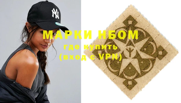 стаф Болхов