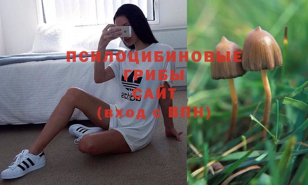 первитин Осташков
