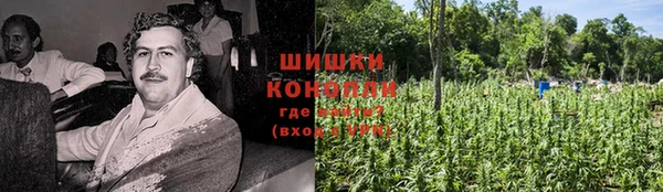 дживик Пересвет
