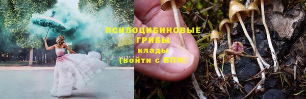 a pvp Пестово