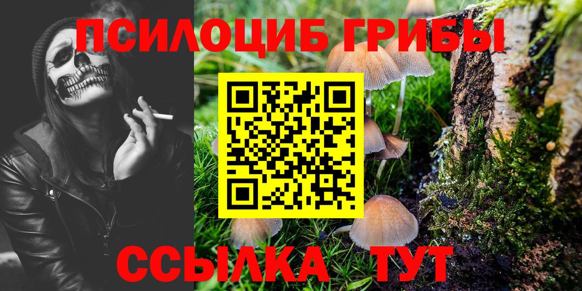 Псилоцибиновые грибы ЛСД Алейск