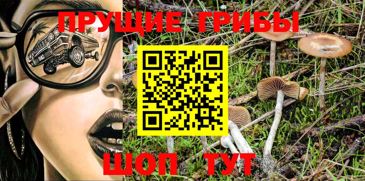 Алейск  Галлюциногенные грибы Cubensis  Вход с VPN 