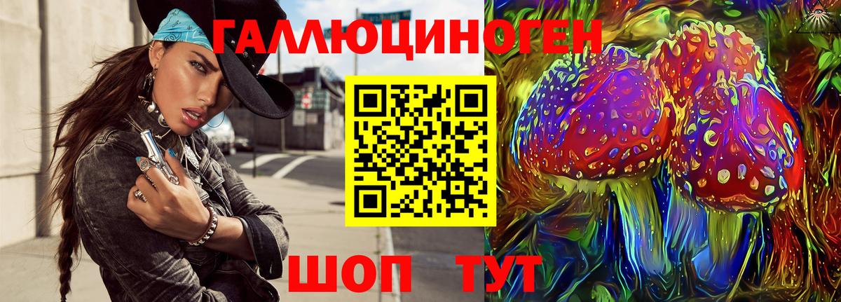 где можно купить наркотик  Алейск  Псилоцибиновые грибы Psilocybe 