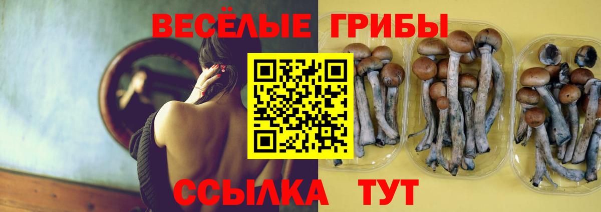 Псилоцибиновые грибы мухоморы  Галлюциногенные грибы Magic Shrooms  Алейск  Вход с VPN 